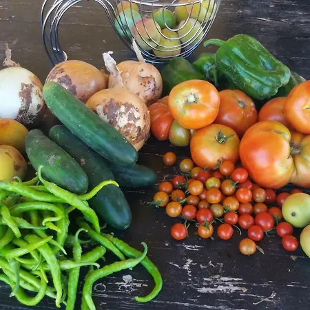 Atalaya House Concud