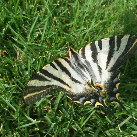 Gospodarstwo wiejskie Atalaya House