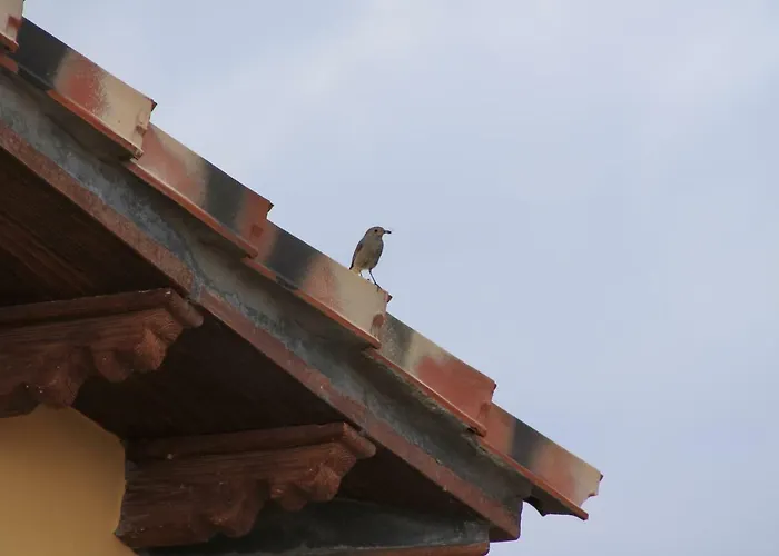 Atalaya House * Concud