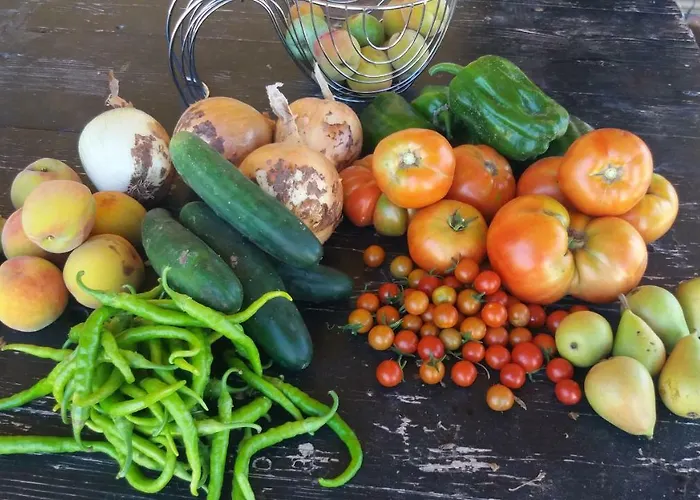 Atalaya House Concud