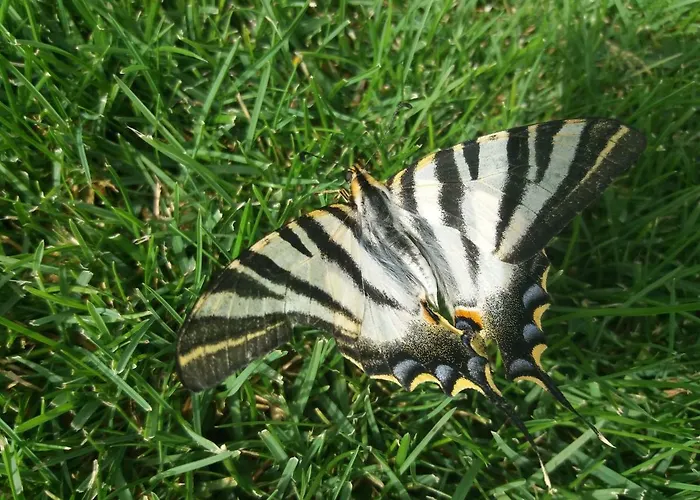 Casa rural Atalaya House