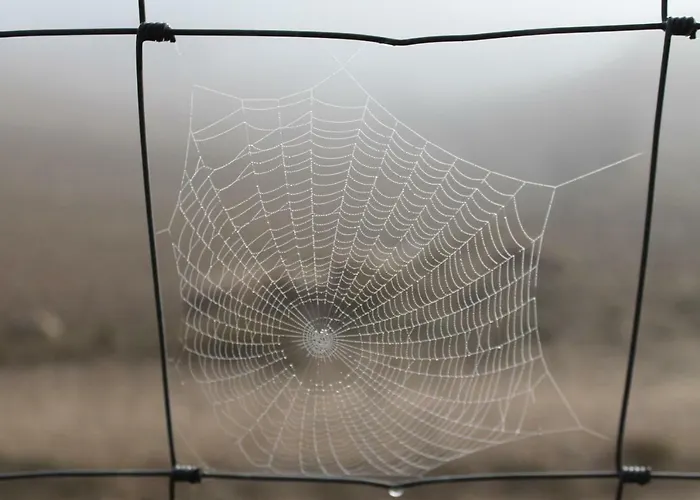 Casa rural Atalaya House