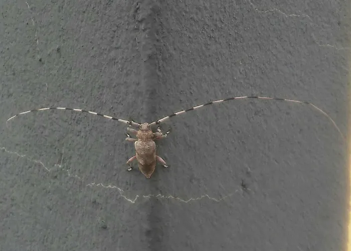 Casa rural Atalaya House Concud