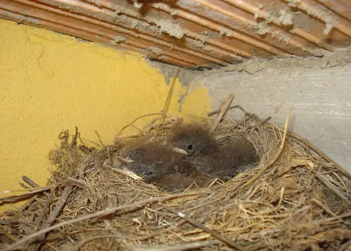 Atalaya House Concud